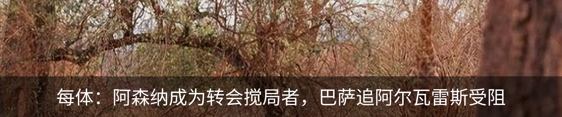 新闻中心