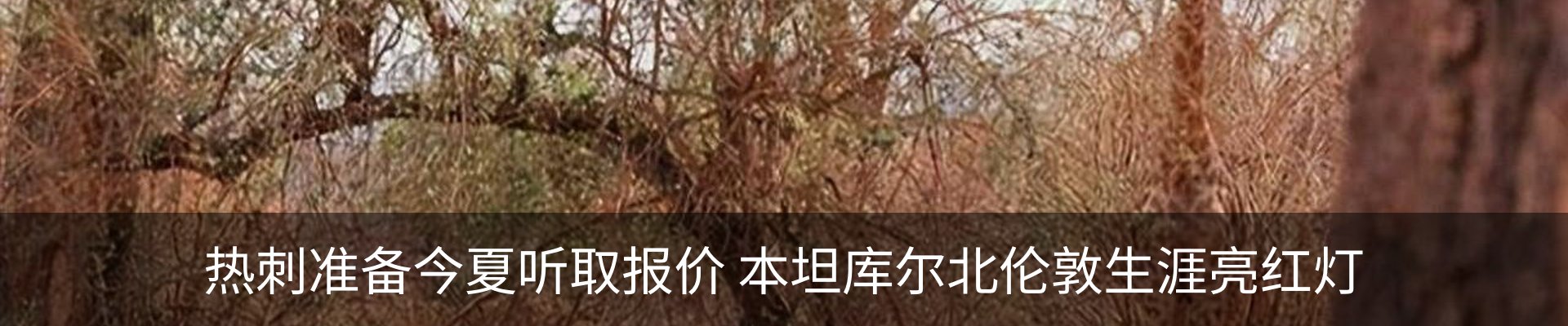 新闻中心